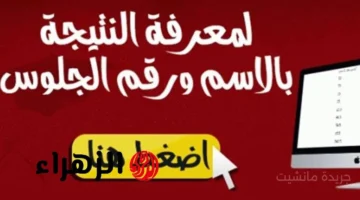 مشهد عالمي بالأقصر.. سفاري الخيل والبالون الطائر معًا في تجربة فريدة تخطف أنظار السياح 1